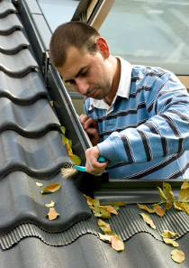 Enlever les feuilles mortes